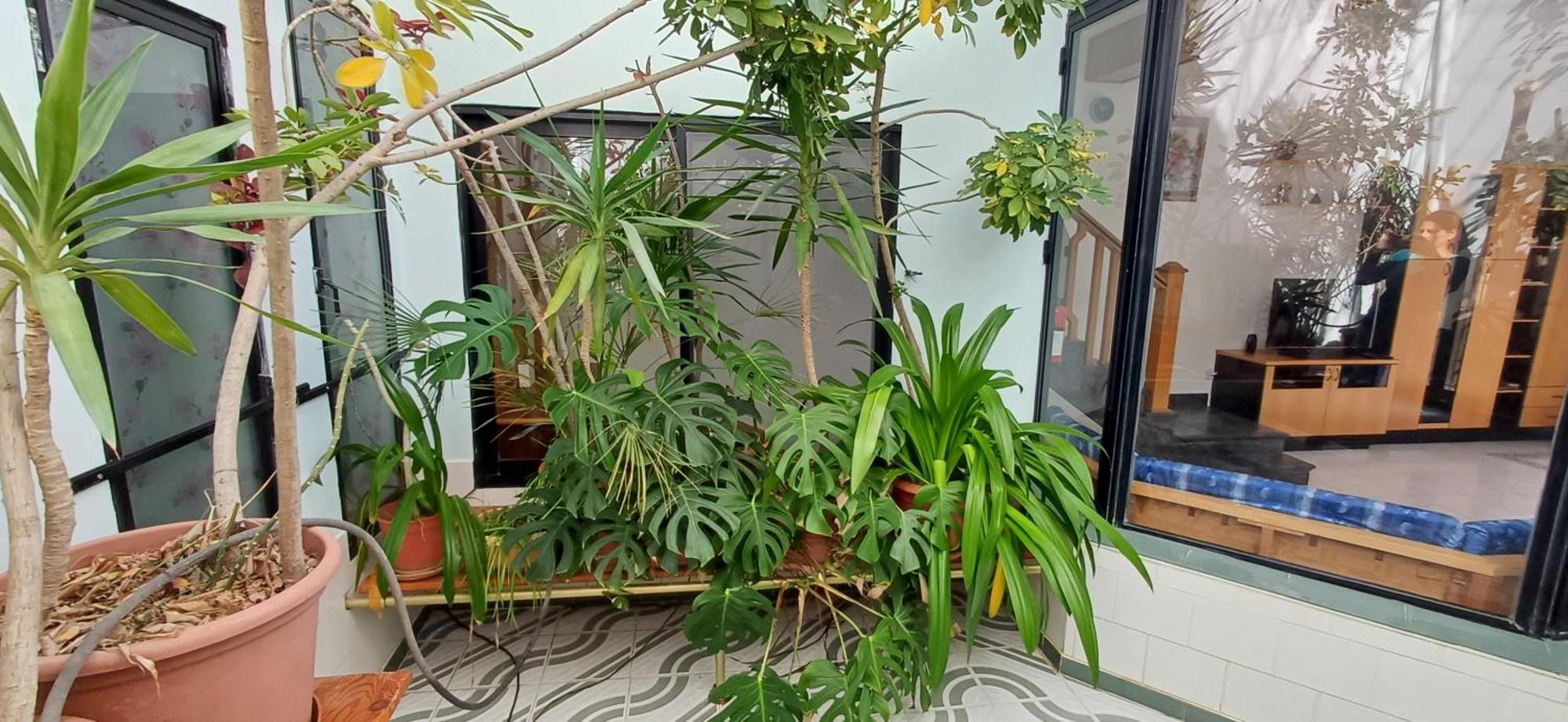 The Roof Garden Maisonette 마르사스칼라 외부 사진